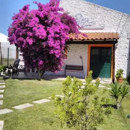 Casa Da Buganvilia Vakantiehuis Reguengo Grande